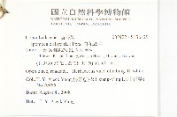 白花牽牛藏品圖，第2張