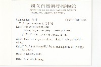 長柄菊藏品圖，第2張