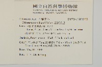 臺灣及己藏品圖，第2張