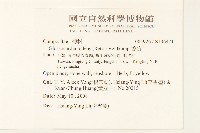 香茹藏品圖，第2張