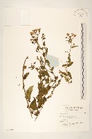 登錄號:S136555藏品圖，第1張