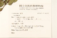 登錄號:S136558藏品圖，第2張