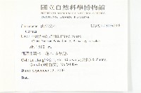 登錄號:S136568藏品圖，第2張