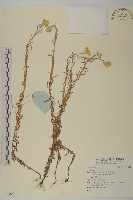 登錄號:S136581藏品圖，第1張