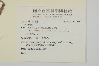 登錄號:S136581藏品圖，第2張