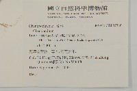 登錄號:S136586藏品圖，第2張