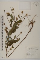 登錄號:S136588藏品圖，第1張