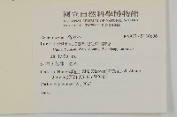 登錄號:S136606藏品圖，第2張