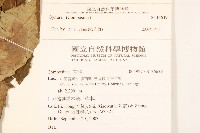 登錄號:S136639藏品圖，第2張