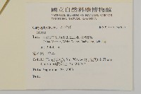 登錄號:S136655藏品圖，第2張