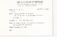 登錄號:S136667藏品圖，第2張