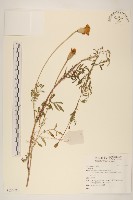 登錄號:S136699藏品圖，第1張