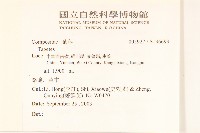 登錄號:S136699藏品圖，第2張