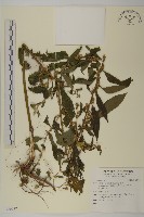 登錄號:S136712藏品圖，第1張