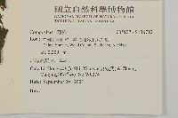 登錄號:S136712藏品圖，第2張