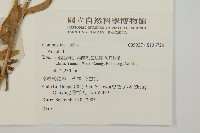 登錄號:S136720藏品圖，第2張