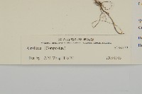 登錄號:S136779藏品圖，第3張