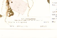 登錄號:S136785藏品圖，第3張