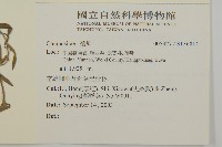 登錄號:S136814藏品圖，第2張