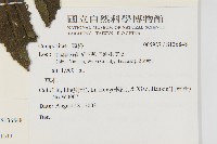 登錄號:S136848藏品圖，第2張