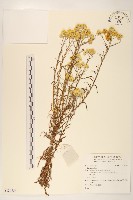 登錄號:S136855藏品圖，第1張