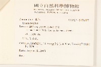 登錄號:S136855藏品圖，第2張