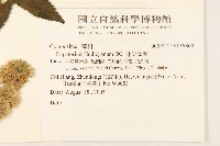 林氏澤蘭藏品圖，第2張