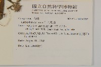 杓兒菜藏品圖，第2張