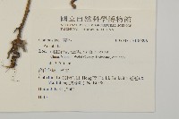 登錄號:S136896藏品圖，第2張