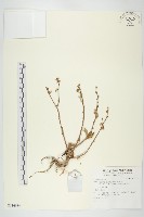 登錄號:S136939藏品圖，第1張