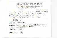 頭狀四照花藏品圖，第2張