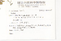 登錄號:S136957藏品圖，第2張