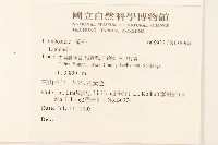 登錄號:S136964藏品圖，第2張