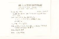 川西小黃菊藏品圖，第2張