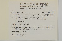 尼泊爾籟簫藏品圖，第2張