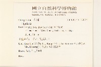 登錄號:S137024藏品圖，第2張