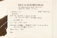 登錄號:S137069藏品圖，第2張