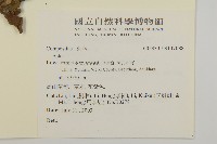 登錄號:S137088藏品圖，第2張