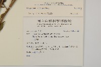 登錄號:S137125藏品圖，第2張