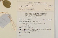 登錄號:S137149藏品圖，第2張