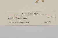 登錄號:S137157藏品圖，第3張