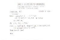 東俄洛風毛菊藏品圖，第2張