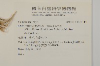 登錄號:S137184藏品圖，第2張