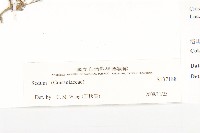 登錄號:S137188藏品圖，第3張