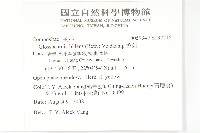 香茹藏品圖，第2張