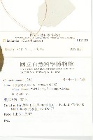 登錄號:S137281藏品圖，第2張