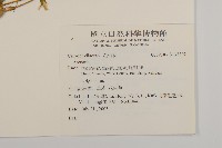 登錄號:S137302藏品圖，第2張