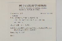 登錄號:S137305藏品圖，第2張