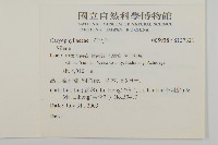 登錄號:S137321藏品圖，第2張