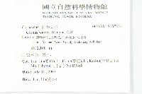 毛棶藏品圖，第2張